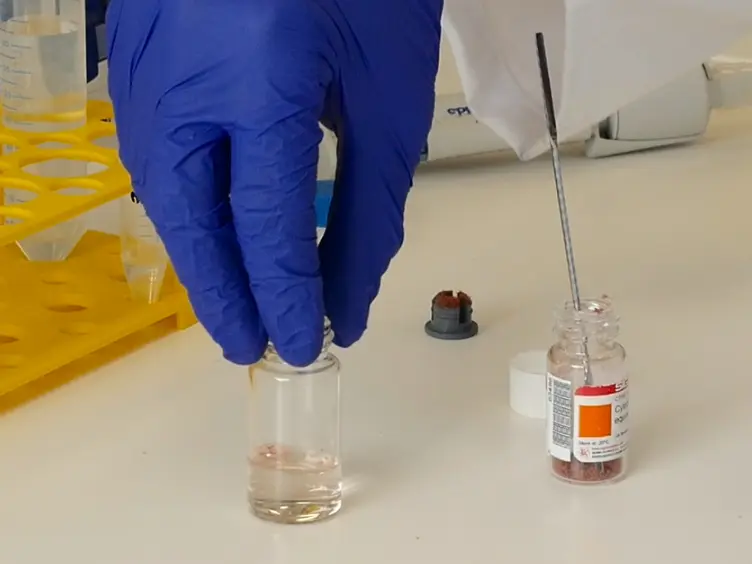 Synthesis of Protein Bioconjugates <em>via</em> Cysteine-maleimide Chemistry