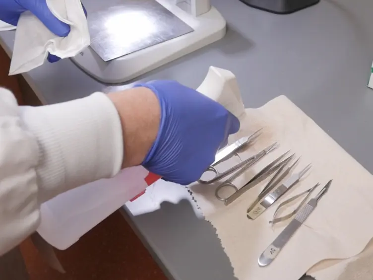 The Fibular Nerve Injury Method: A Reliable Assay to Identify and Test Factors That Repair Neuromuscular Junctions