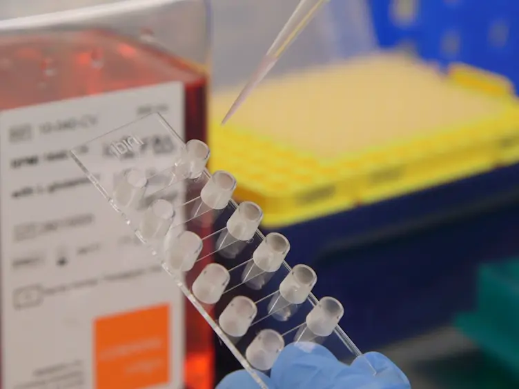 Assay of Adhesion Under Shear Stress for the Study of T Lymphocyte-Adhesion Molecule Interactions