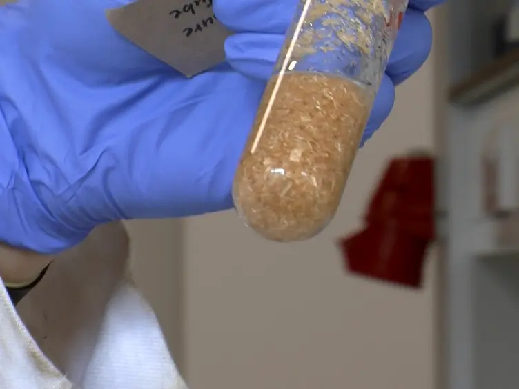 Pretreatment of Lignocellulosic Biomass with Low-cost Ionic Liquids