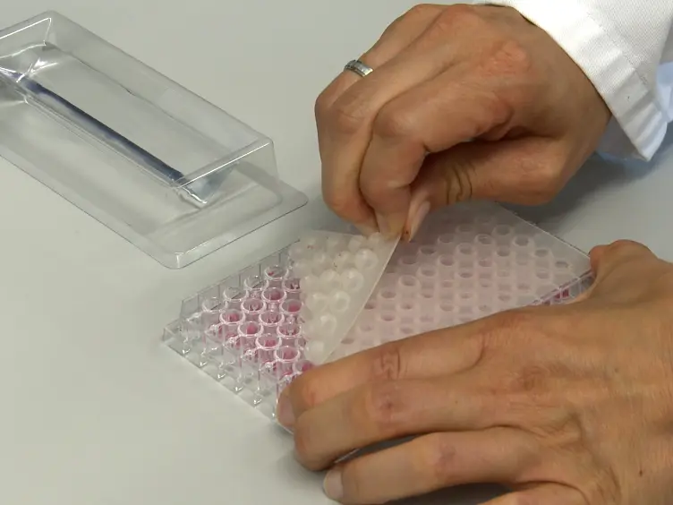 High-throughput Screening of Carbohydrate-degrading Enzymes Using Novel Insoluble Chromogenic Substrate Assay Kits