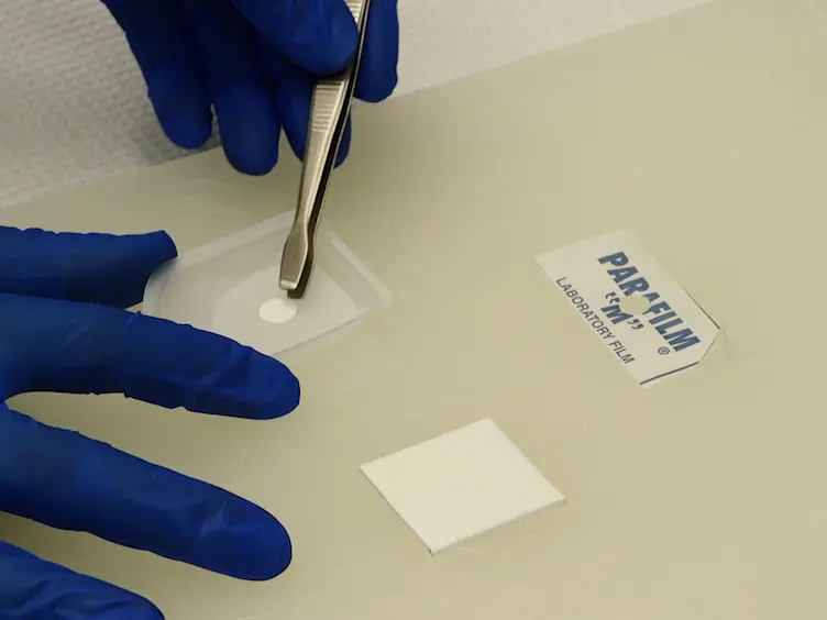 Filtration Isolation of Nucleic Acids:  A Simple and Rapid DNA Extraction Method