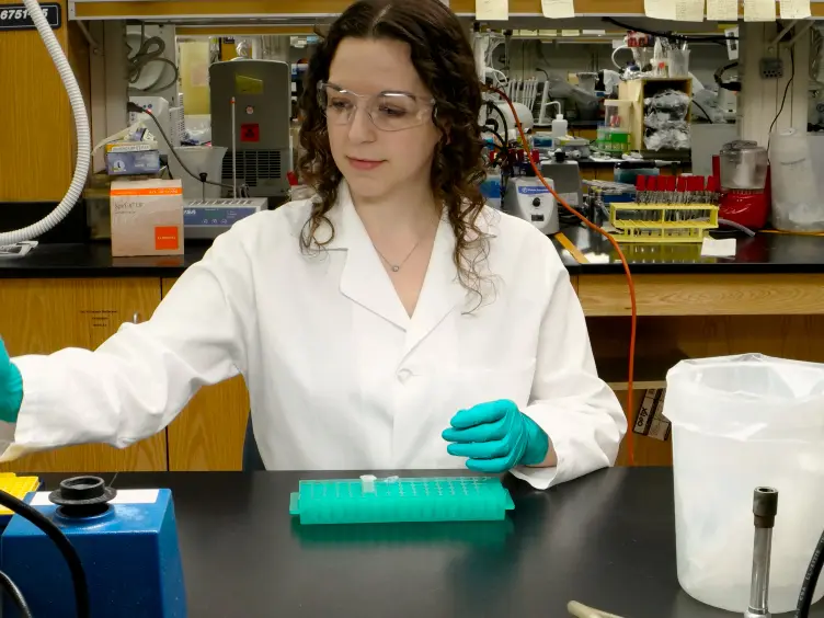 Measuring <em>In Vitro</em> ATPase Activity for Enzymatic Characterization