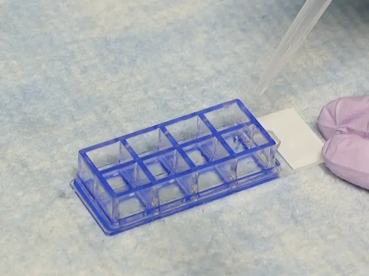 A Method of Targeted Cell Isolation via Glass Surface Functionalization