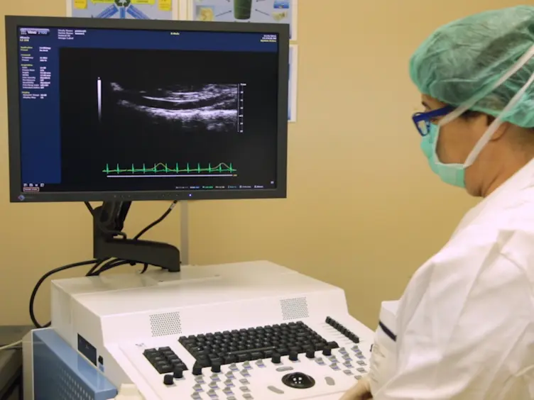 Ultrasound-based Pulse Wave Velocity Evaluation in Mice