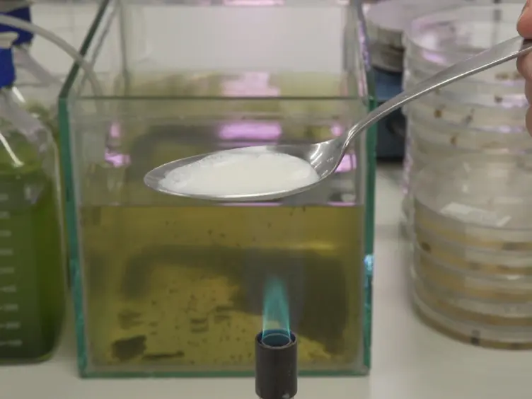 Novel Production Protocol for Small-scale Manufacture of Probiotic Fermented Foods