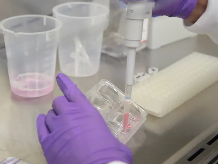 Isolation of Cognate RNA-protein Complexes from Cells Using Oligonucleotide-directed Elution