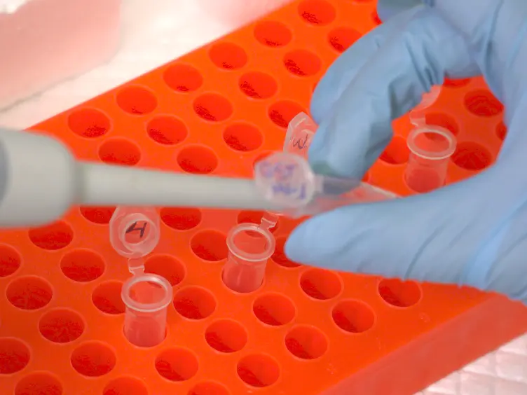 Mimicking the Function of Signaling Proteins: Toward Artificial Signal Transduction Therapy