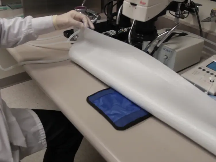 Intravascular Delivery of Biologics to the Rat Kidney