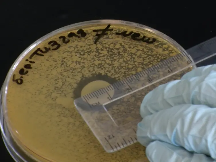 Deferred Growth Inhibition Assay to Quantify the Effect of Bacteria-derived Antimicrobials on Competition