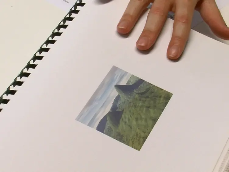The 4 Mountains Test: A Short Test of Spatial Memory with High Sensitivity for the Diagnosis of Pre-dementia Alzheimer's Disease