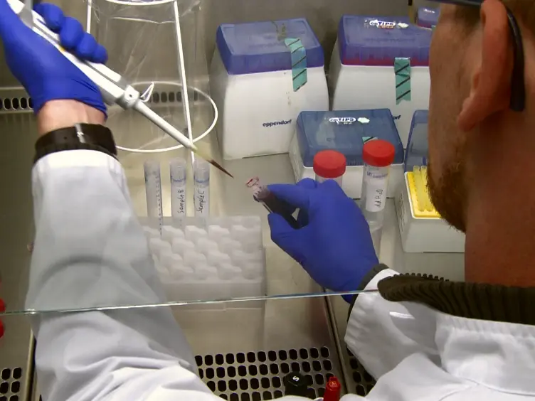 Fast and Specific Assessment of the Halogenating Peroxidase Activity in Leukocyte-enriched Blood Samples