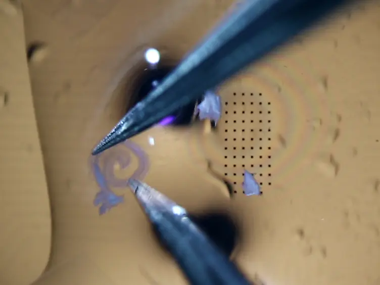 Spiral Ganglion Neuron Explant Culture and Electrophysiology on Multi Electrode Arrays