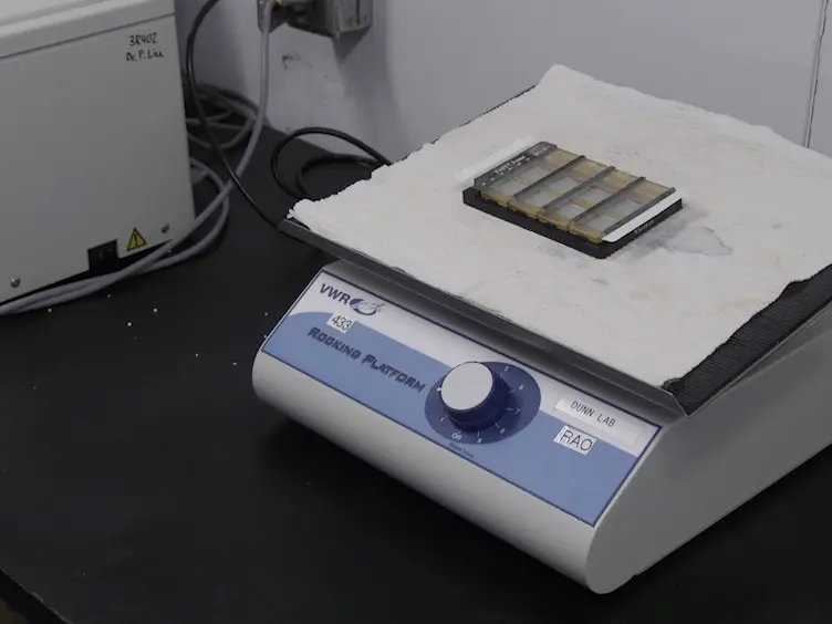 Generation of Two-color Antigen Microarrays for the Simultaneous Detection of IgG and IgM Autoantibodies