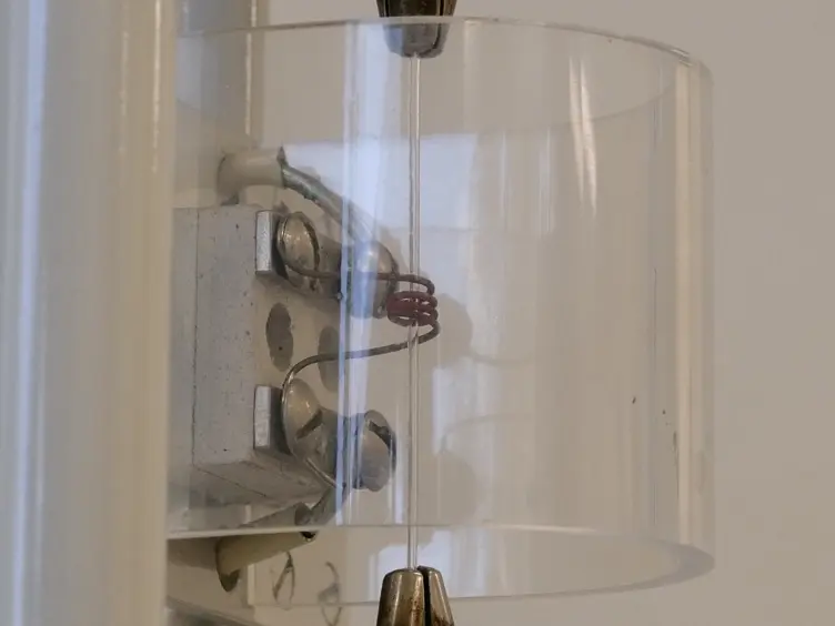 Neuropharmacological Manipulation of Restrained and Free-flying Honey Bees, <em>Apis mellifera</em>