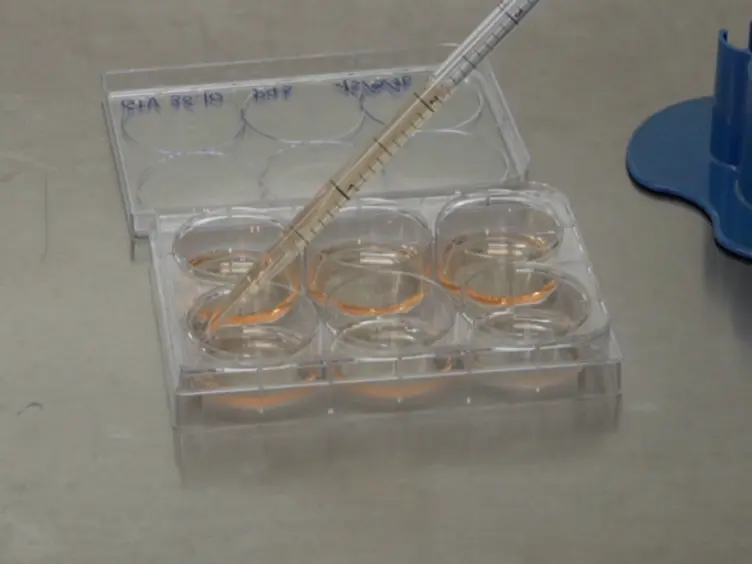 Rapid and Efficient Generation of Recombinant Human Pluripotent Stem Cells by Recombinase-mediated Cassette Exchange in the <em>AAVS1</em> Locus