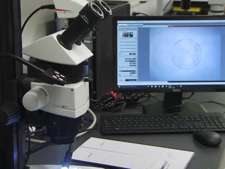 Automated Quantification and Analysis of Cell Counting Procedures Using ImageJ Plugins