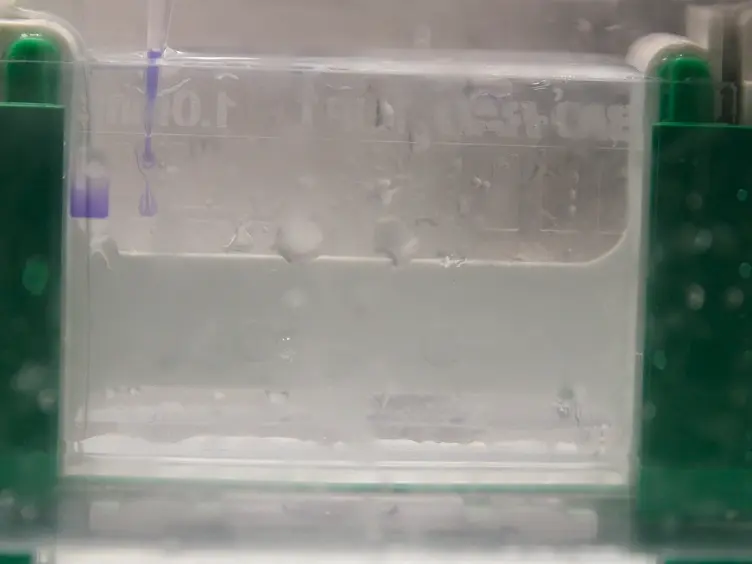 Combining Wet and Dry Lab Techniques to Guide the Crystallization of Large Coiled-coil Containing Proteins