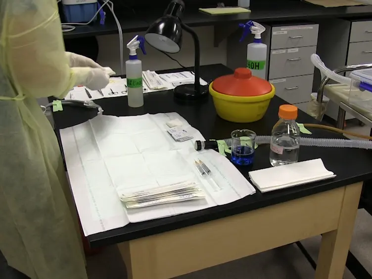 A Portal Vein Injection Model to Study Liver Metastasis of Breast Cancer