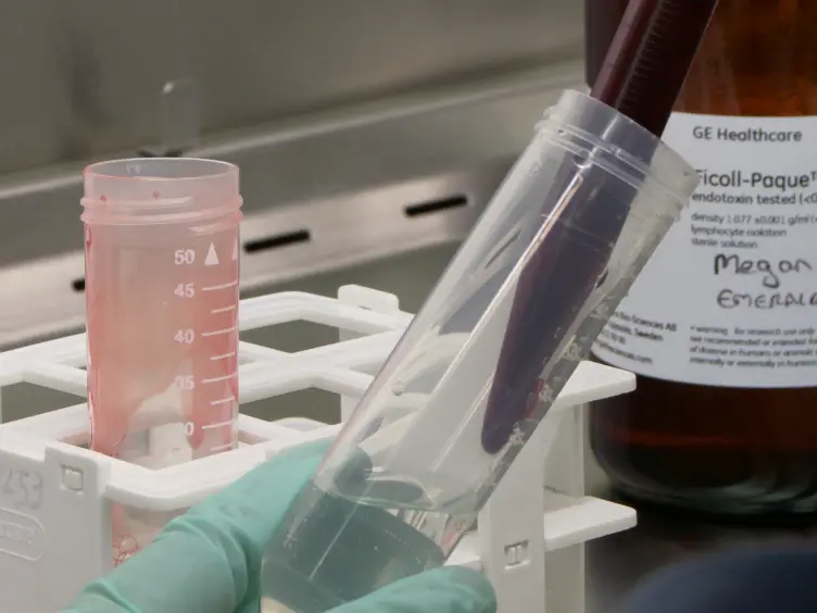 Use of a Monocyte Monolayer Assay to Evaluate Fcγ Receptor-mediated Phagocytosis