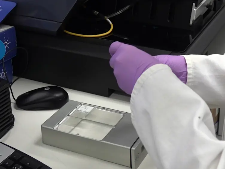 Imaging Metals in Brain Tissue by Laser Ablation - Inductively Coupled Plasma - Mass Spectrometry (LA-ICP-MS)