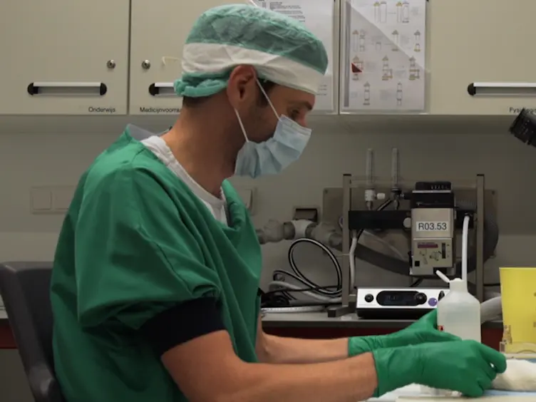 Shunt Surgery, Right Heart Catheterization, and Vascular Morphometry in a Rat Model for Flow-induced Pulmonary Arterial Hypertension
