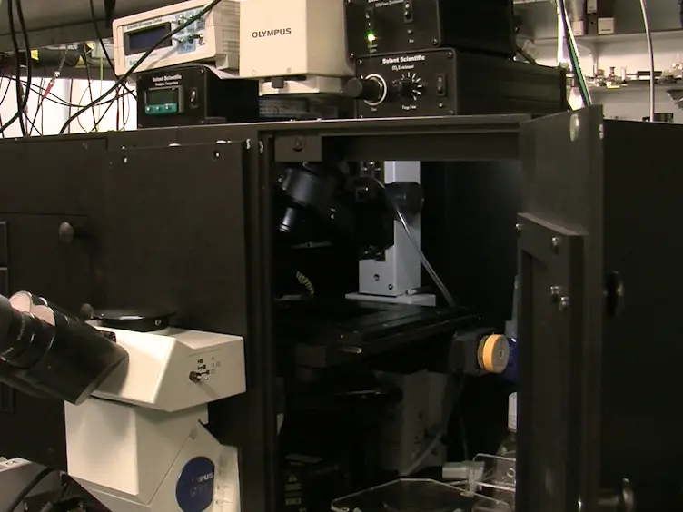 Open Source High Content Analysis Utilizing Automated Fluorescence Lifetime Imaging Microscopy
