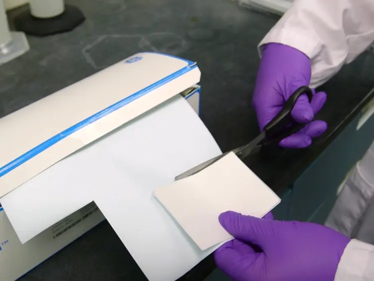 Quantification of Bacterial Histidine Kinase Autophosphorylation Using a Nitrocellulose Binding Assay