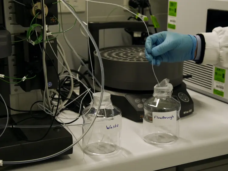 Laboratory Scale Production and Purification of a Therapeutic Antibody