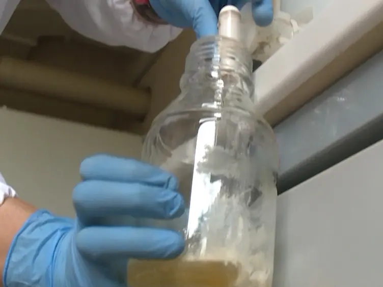 Ecotoxicological Method with Marine Bacteria <em>Vibrio anguillarum</em> to Evaluate the Acute Toxicity of Environmental Contaminants