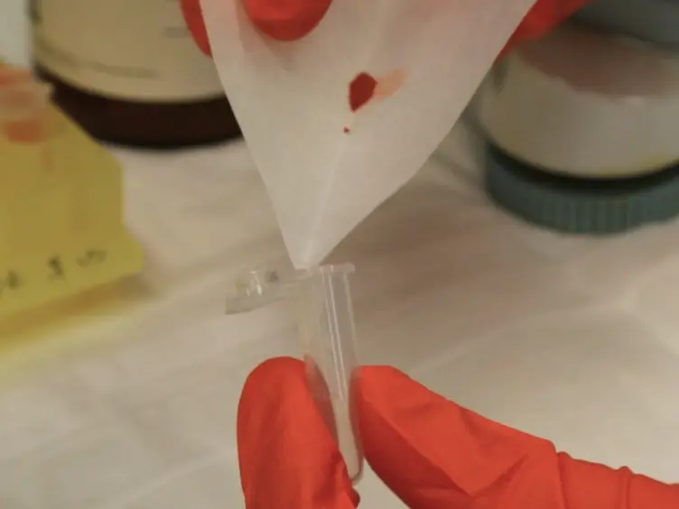 Quantification of Drosophila Grooming Behavior