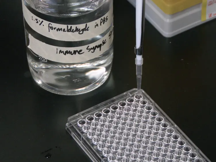 Measurement of T Cell Alloreactivity Using Imaging Flow Cytometry