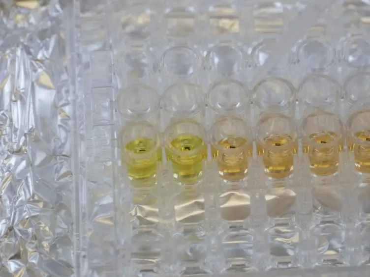 Using Synthetic Biology to Engineer Living Cells That Interface with Programmable Materials