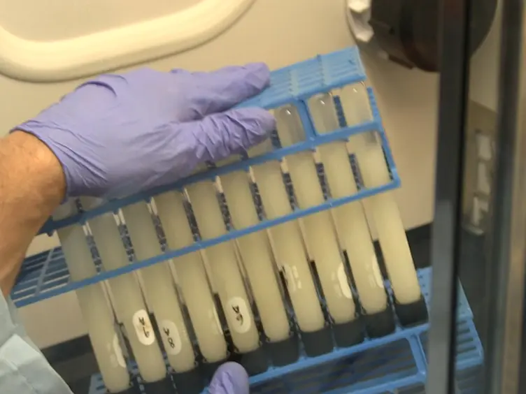 A Lipid Extraction and Analysis Method for Characterizing Soil Microbes in Experiments with Many Samples