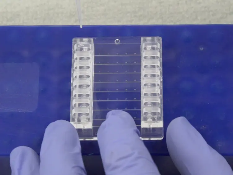 A Microfluidic Flow Chamber Model for Platelet Transfusion and Hemostasis Measures Platelet Deposition and Fibrin Formation in Real-time