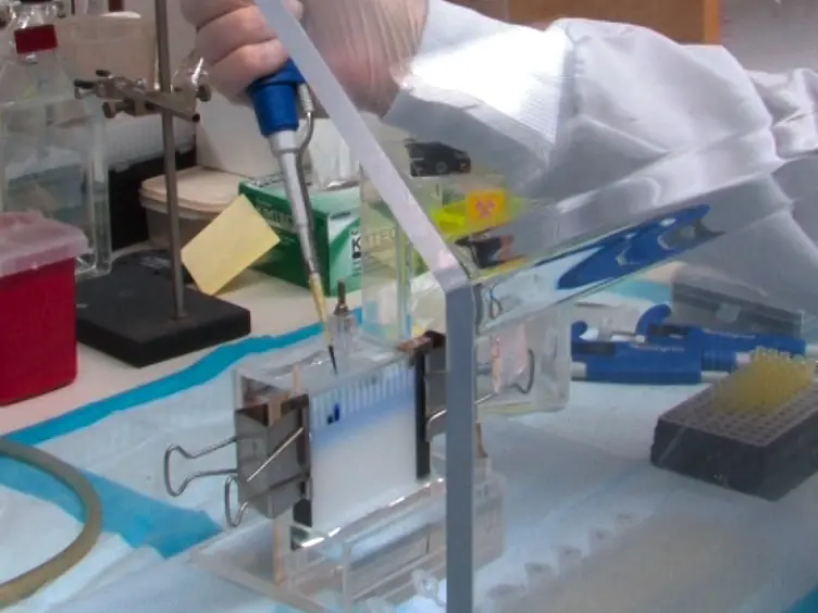 Assaying Protein Kinase Activity with Radiolabeled ATP