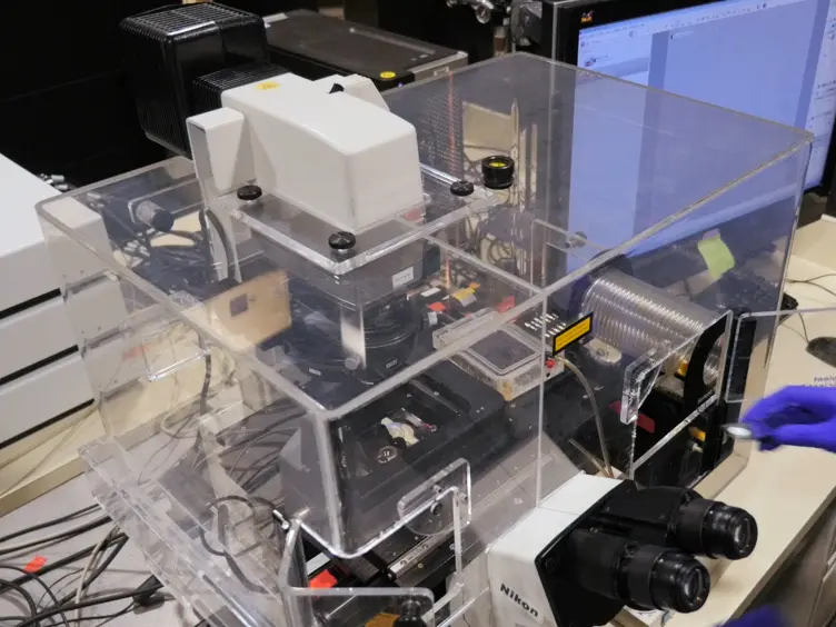 Single Molecule Analysis of Laser Localized Psoralen Adducts