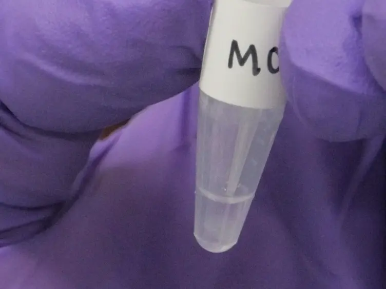 Measuring G-protein-coupled Receptor Signaling via Radio-labeled GTP Binding