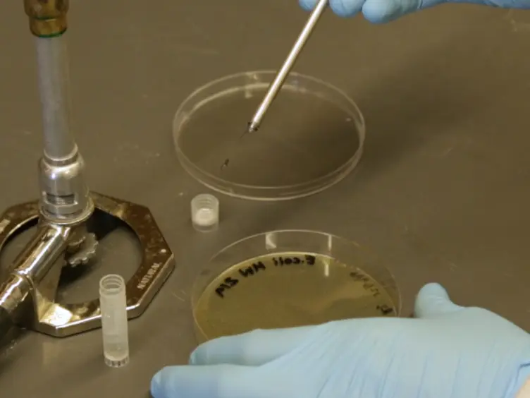 A Method to Test the Efficacy of Handwashing for the Removal of Emerging Infectious Pathogens