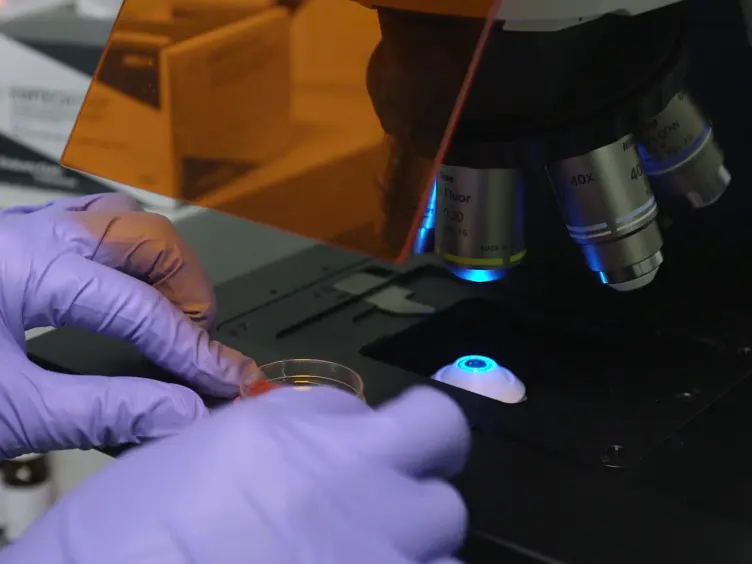 Precise Cellular Ablation Approach for Modeling Acute Kidney Injury in Developing Zebrafish