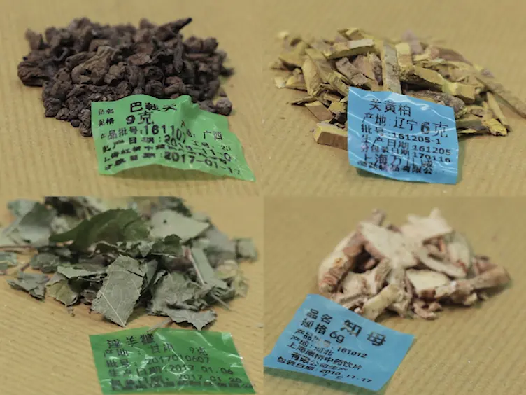 Preparation of Herbal Medicine: Er-Xian Decoction and Er-Xian-containing Serum for <em>In Vivo</em> and <em>In Vitro</em> Experiments