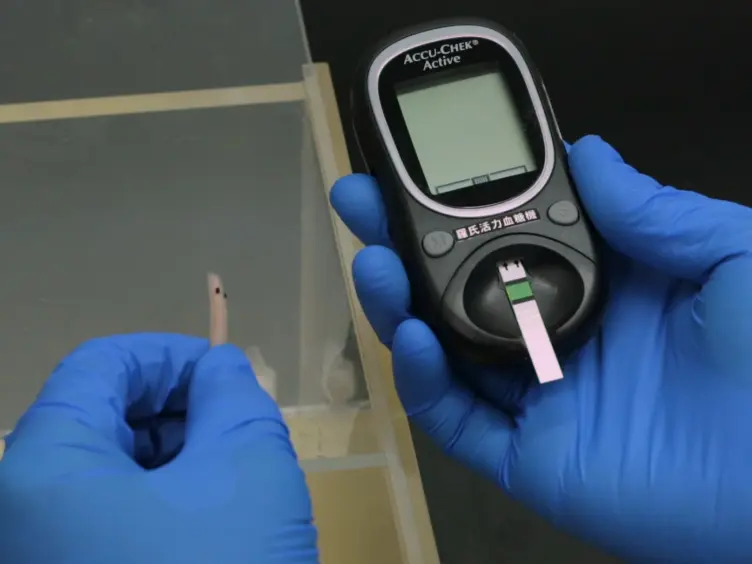 An Ultrasonic Tool for Nerve Conduction Block in Diabetic Rat Models