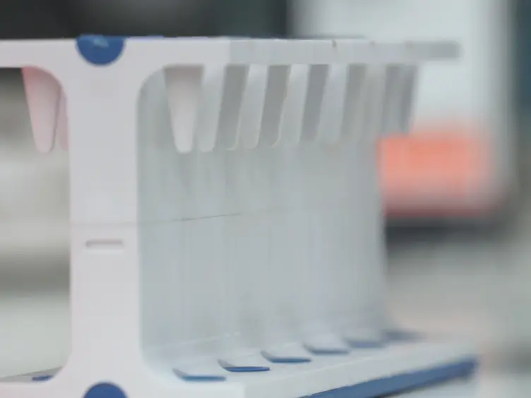 Analysis of the c-KIT Ligand Promoter Using Chromatin Immunoprecipitation