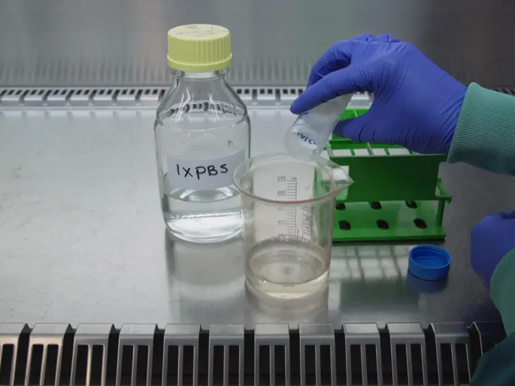 Detection and Visualization of DNA Damage-induced Protein Complexes in Suspension Cell Cultures Using the Proximity Ligation Assay