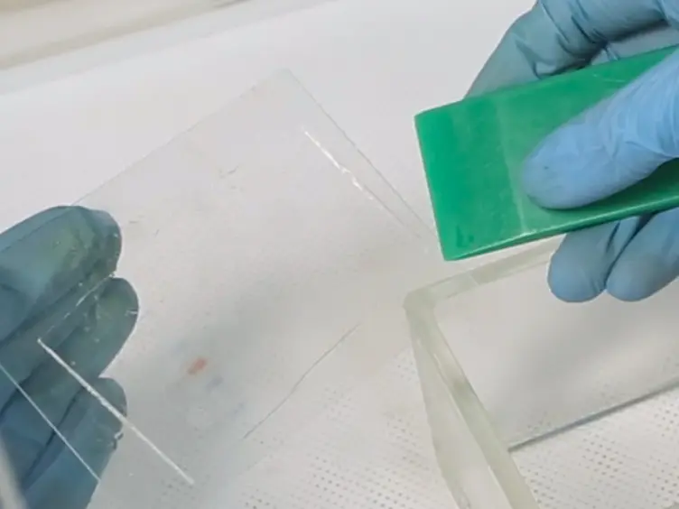 Oligopeptide Competition Assay for Phosphorylation Site Determination