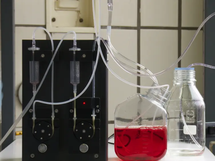 Murine Short Axis Ventricular Heart Slices for Electrophysiological Studies