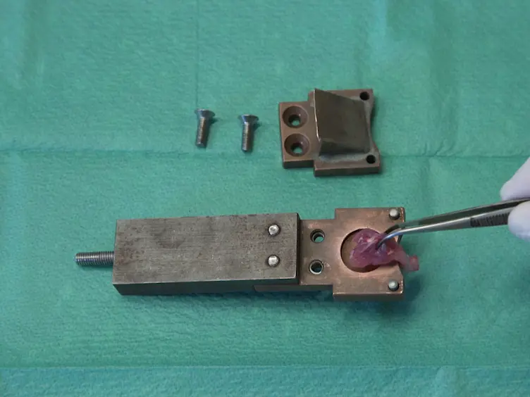 Effects of Allogeneic Platelet-Rich Plasma (PRP) on the Healing Process of Sectioned Achilles Tendons of Rats: A Methodological Description