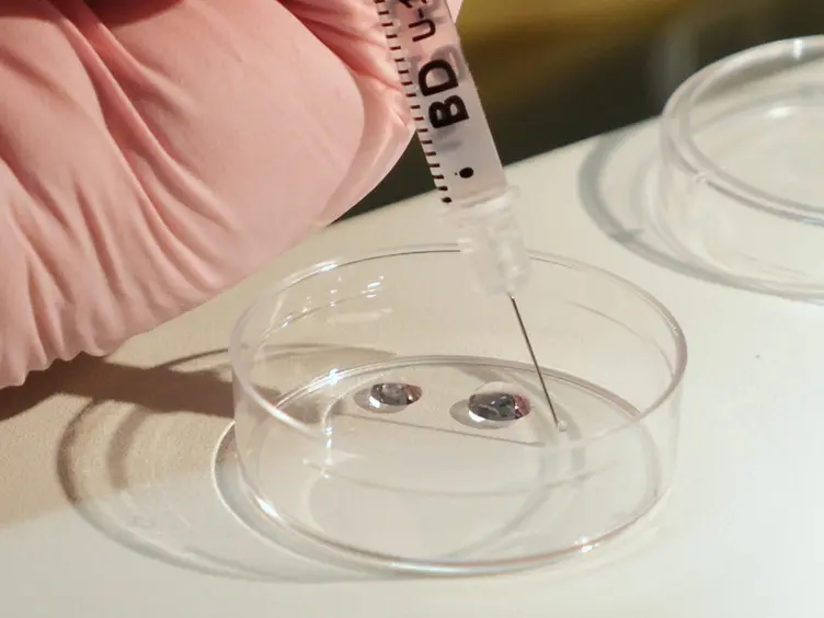 Generation of Genetically Modified Mice through the Microinjection of Oocytes