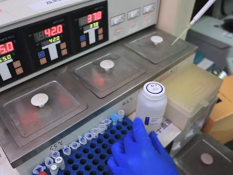 Protocols for C-Brick DNA Standard Assembly Using Cpf1