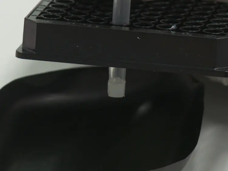 Easy Manipulation of Architectures in Protein-based Hydrogels for Cell Culture Applications